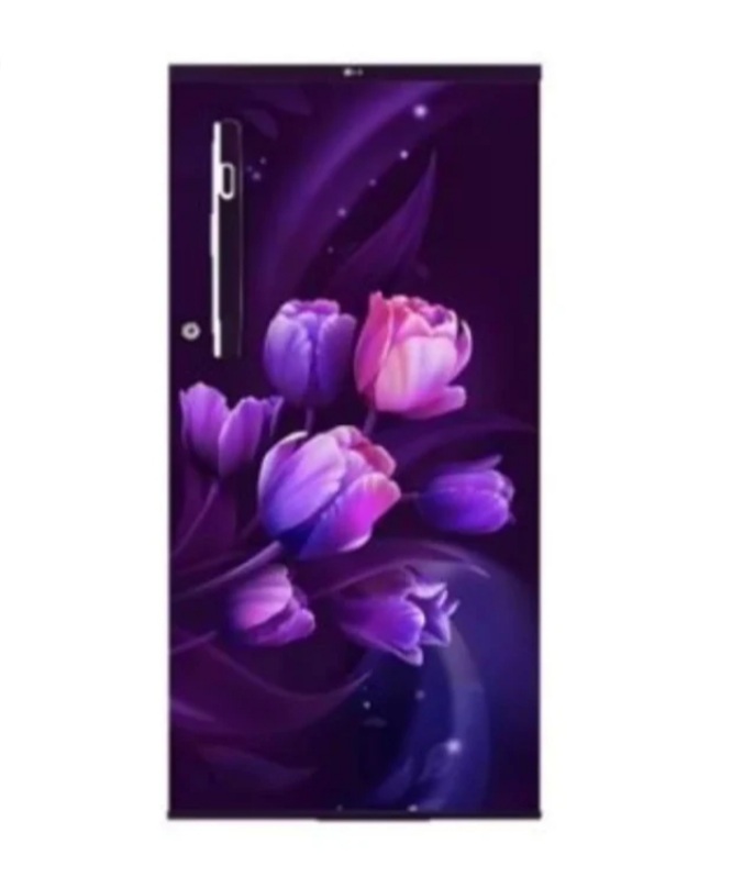 
												
												LG 185 Litres 1 star direct cool single door refrigerator(GL-B199OPTB)